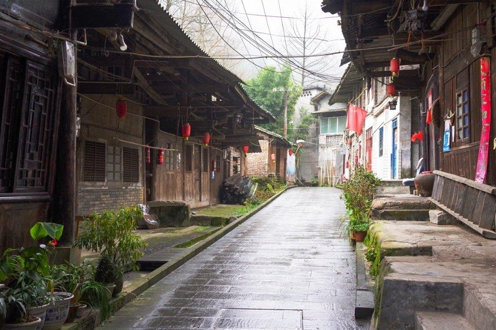 曹操主张“唯才是举”，为何曹丕实施“九品中正制”？